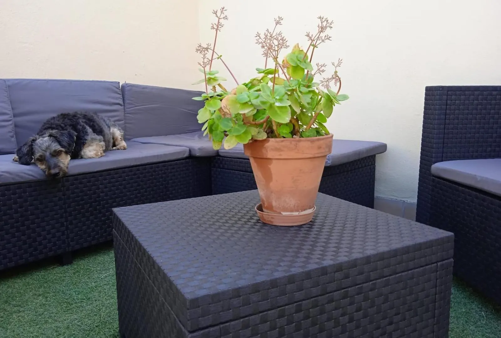 Livingtarifa Apartamento Nano Apartment Tarifa